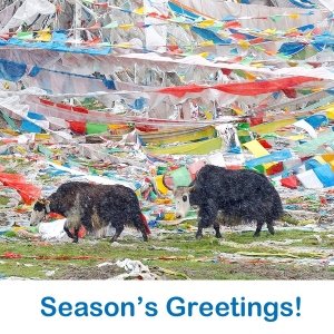 Save time and money by sending ethical eCards